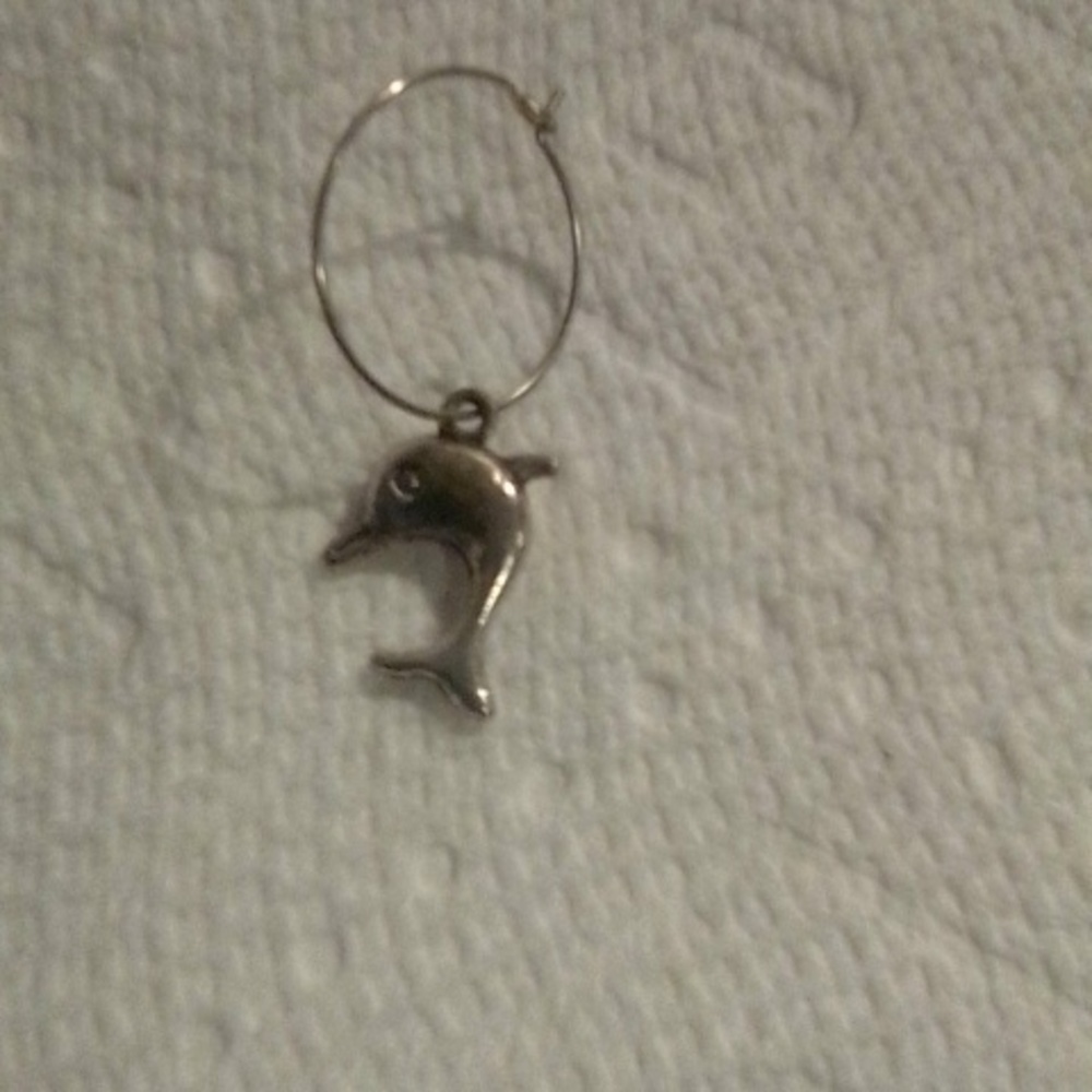 Silver dolphins charm